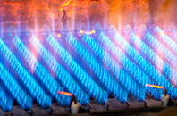 Wyllie gas fired boilers